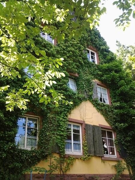 Gastehaus Zum Alten Schulhaus Hotel Miltenberg Room photo